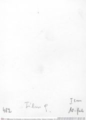 Historisches Foto (Rückseite) von Gastrosacus levocardiacus (Robins, Feldmann & Schweitzer, 2013) (NHMW-AFW-GEO-BACHMAYER-FOTO-1990-0041-0482)